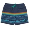 HOOey "Bigwake" Navy/Blue Board Shorts -Hooey Brands IMG 3838