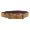 Hooey Galveston Collar Brown Belt -Hooey Brands p0000454201 1