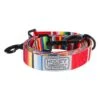 Hooey Nomad Leash Serape Tijuana OS -Hooey Brands p0000455901 1